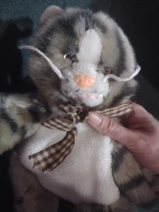 Кіт - рюкзак та кенгуру