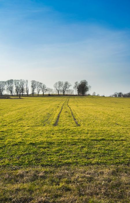 Terreno Isenção IMT Revenda
