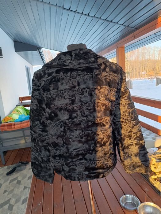 Krótka kurteczka z karakułów