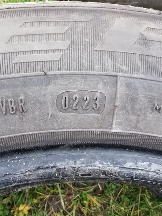 Opony letnie Dębica Presto    195/65 R15