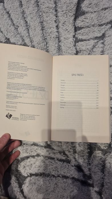 Krawędź światów "dziesięć" - Remigiusz Koczy