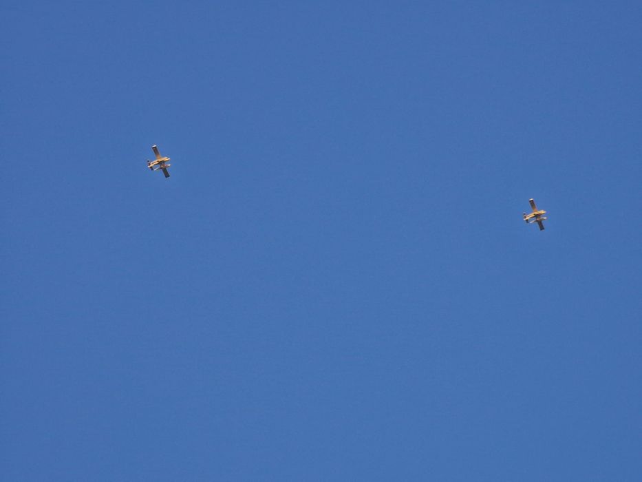 Atrelado para bicicletas