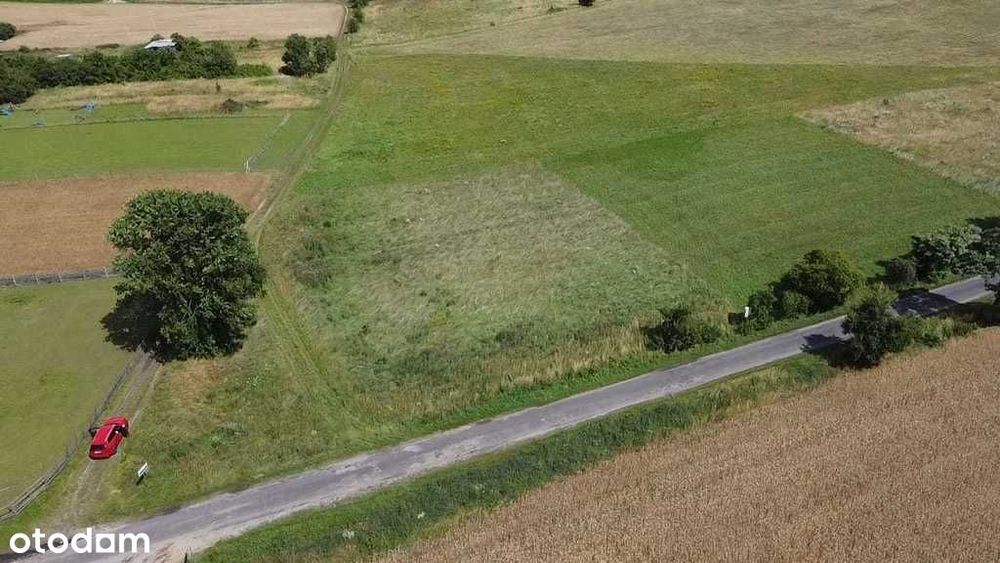 Duża działka budowlana w Świniarach.