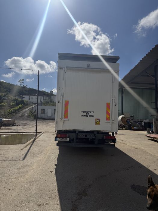 Renault Transporte animais vivos