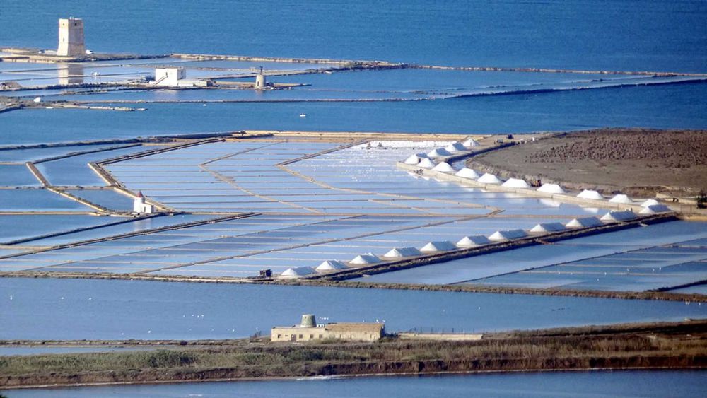 Sól Morska Włoska Trapani 1kg - Drobna, Celtycka rezerwat na Sycylii