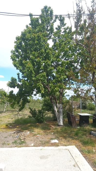 Дача, будинок з санвузлом