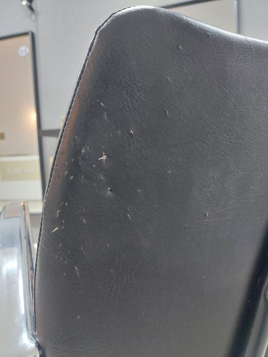 Cadeira de cabeleireiro/barbeiro