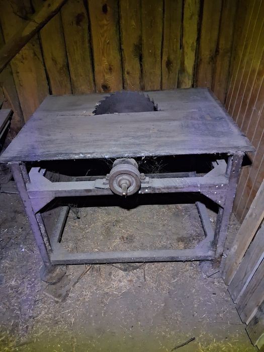 Piła stołowa, trajzega