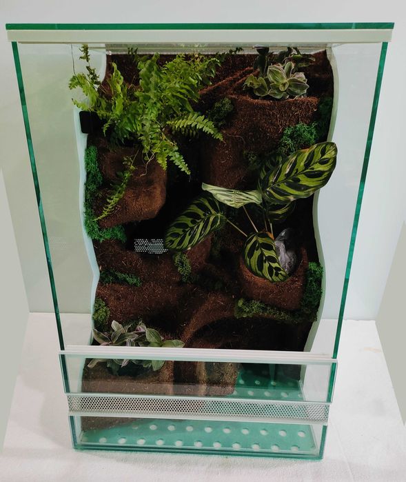 Terrarium dla gekona orzęsionego z wodospadem ledami AquaWaves TW33TR