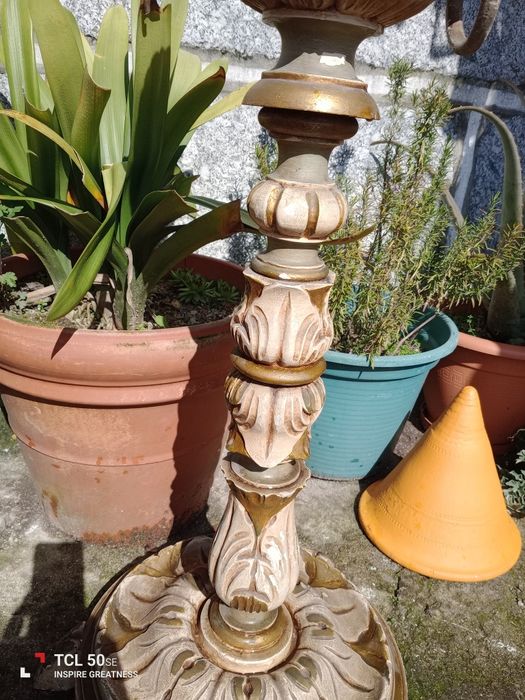 Cinzeiro de pé muito antigo, centenário.