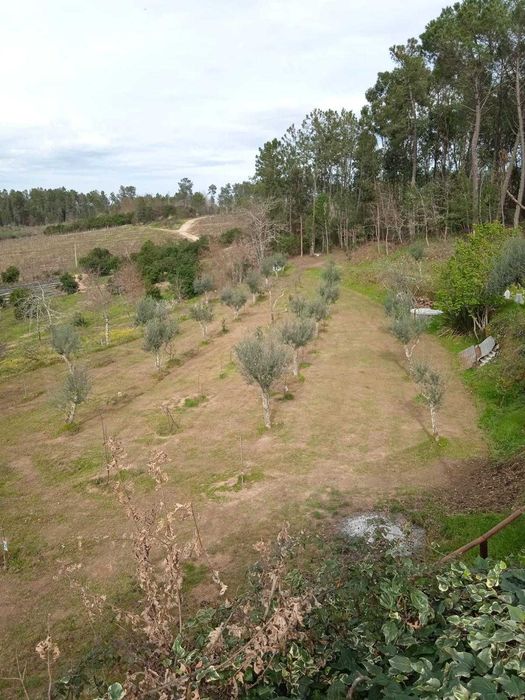 Vende-se quinta em Tibaldinho