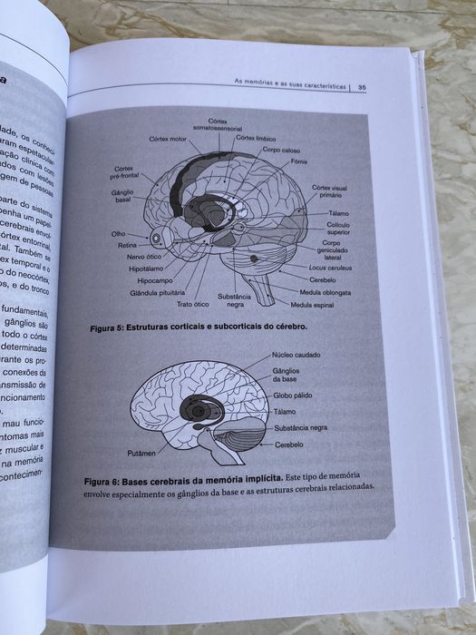 Neurociência-Livro Somos a Nossa Memória
