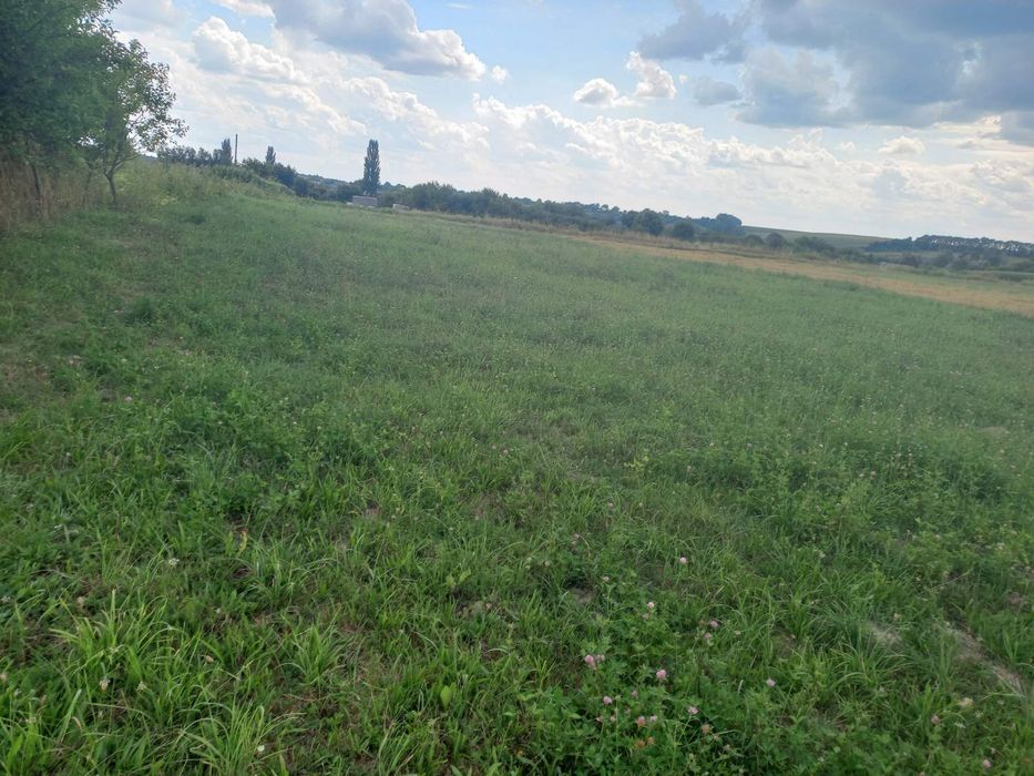 Продам землю с.Іванків ,Станишівська ТГ, Житомирський район і