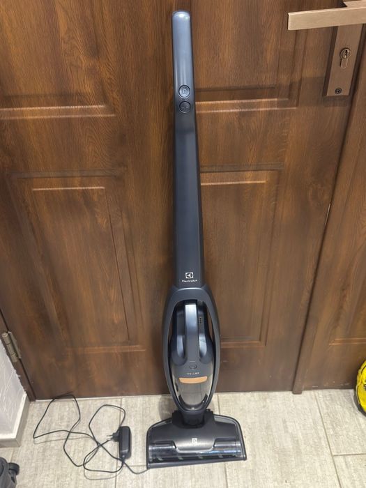 Odkurzacz pionowy Electrolux Well Q7