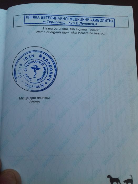 Вязка кане корсо