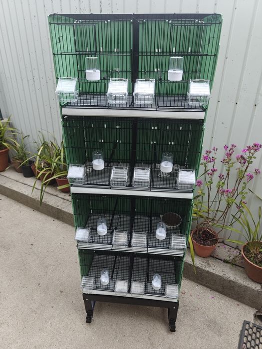 Módulo de criação canários