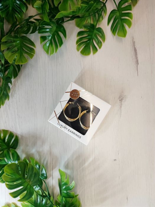 Brincos luxuosos Gold Plated