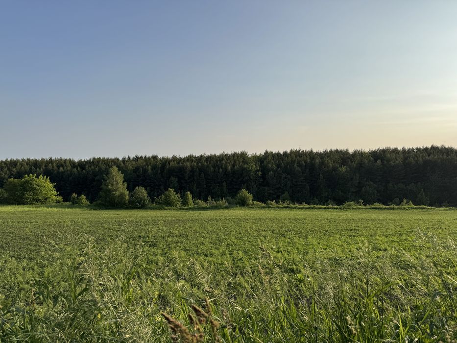 ПРОДАМ земельні ділянки Почаїв!