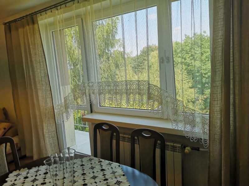 Zdjęcie 8