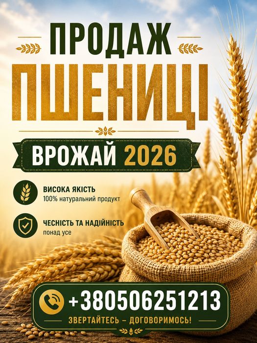 Продаж пшениці, пшениця 2026р.