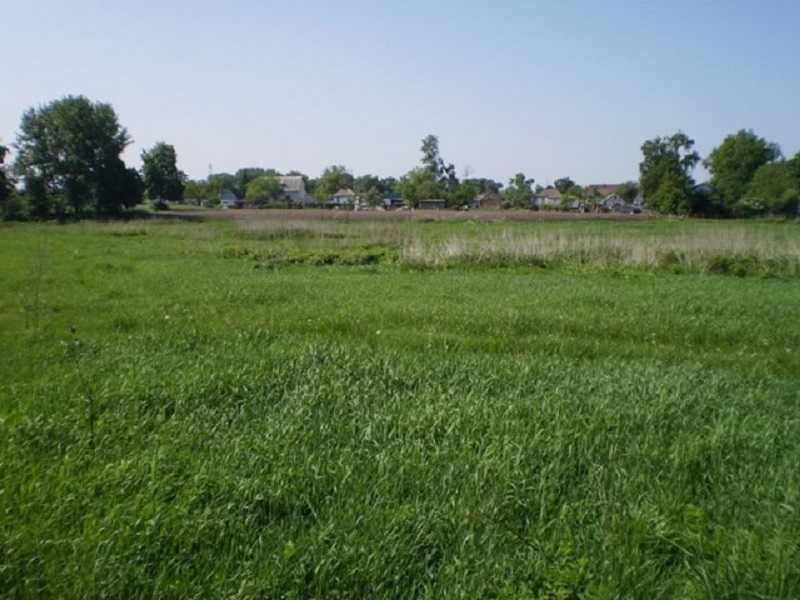 Земельный участок 12 соток в с. Волошиновка