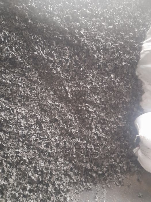 Макуха сонняшникова.