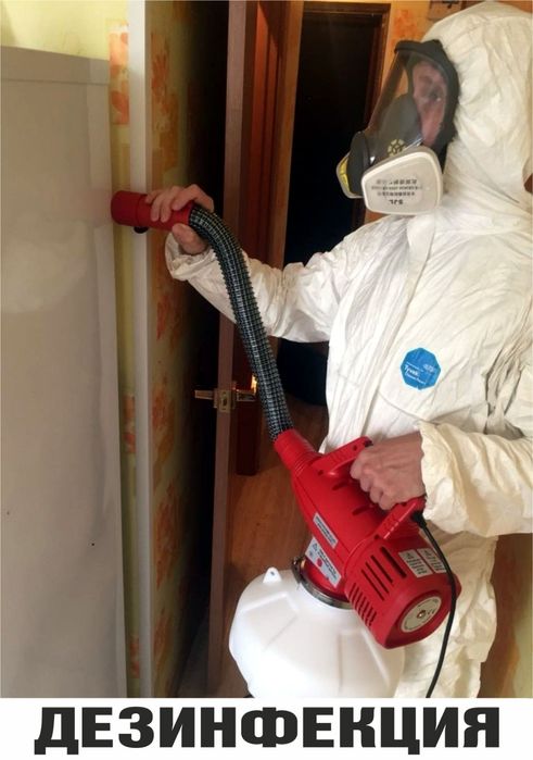 БЕЗ ЗАПАХА • Уничтожение Травля Тараканов Клопов Блох Уничтожить Ос