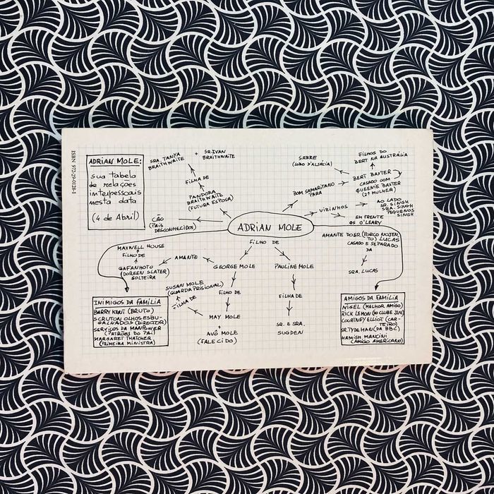 Adrian Mole na Crise da Adolescência - Sue Townsend