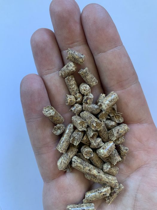 Pellet, opał, pellet DPP