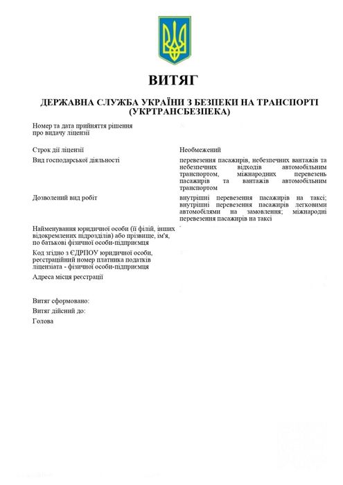 ТОВ з ліцензією на міжнародні перевезення паспжирів бусами (8+1)