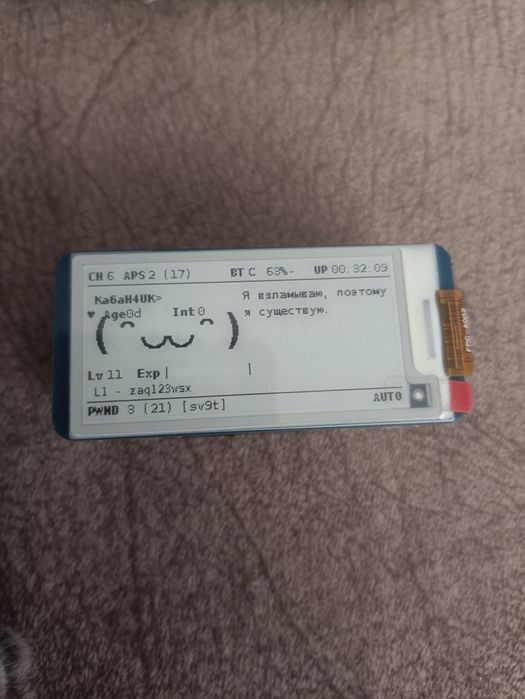 Pwnagotchi Wi-fi тамогочі
