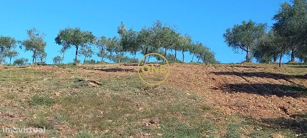 Terreno rústico/agrícola com 1,7 hect, em Argozelo, Vimioso, Bragança