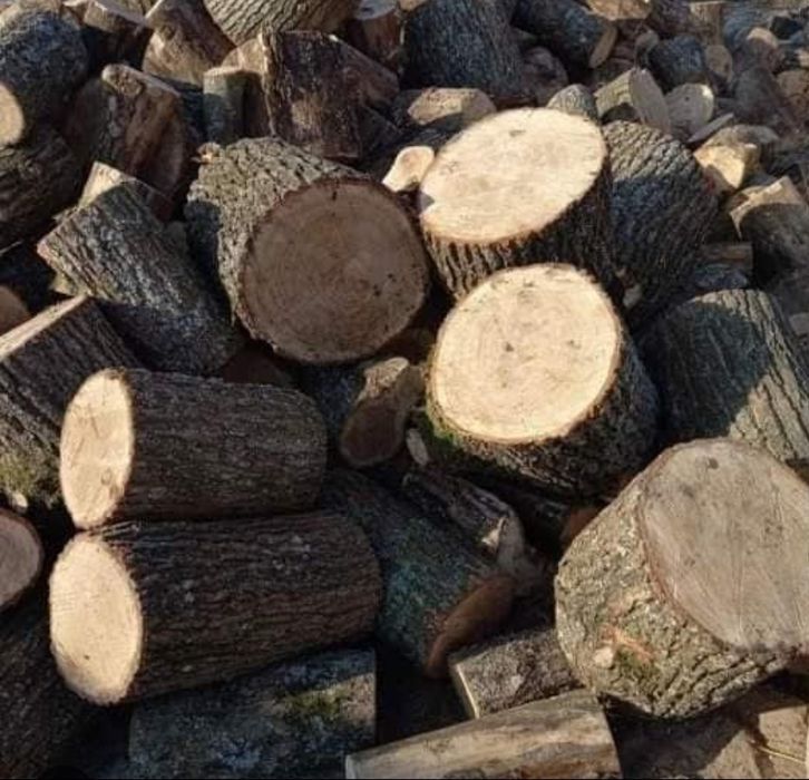 Продам дрова твердих порід