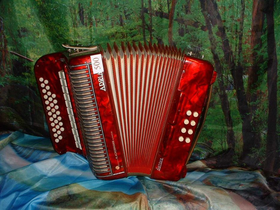 Promoção de Acordeões de concertinas