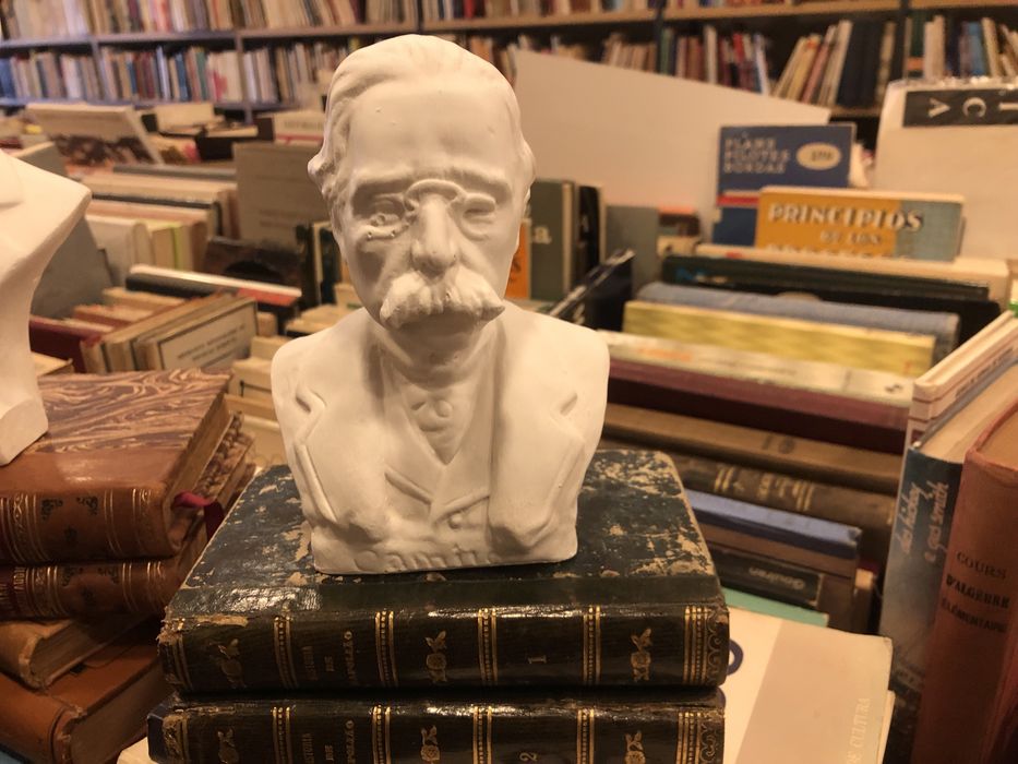 Bustos de escritores portugueses