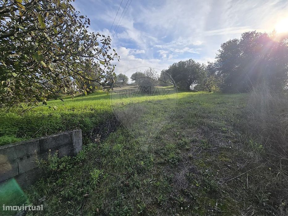 Terreno  para venda — Pedrógão, Santarém