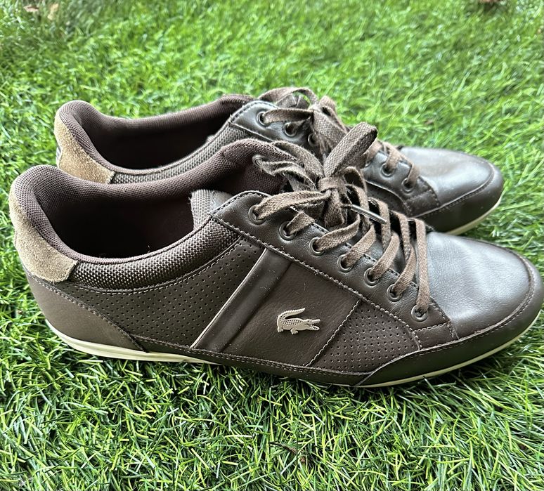 кросівки Lacoste Chaymon