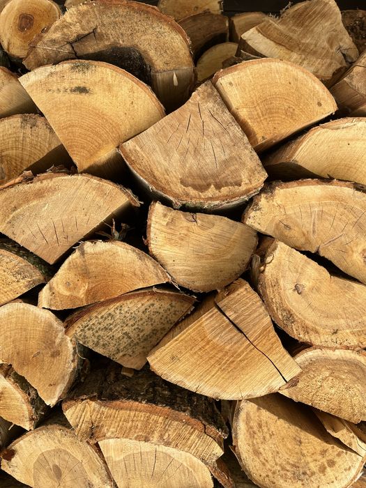 Drewno kominkowe