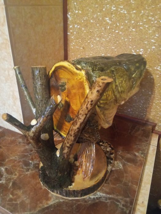 Чучело рыбы "Щука"