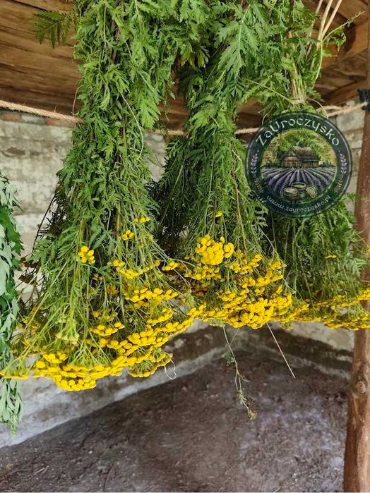 Mazidło wrotyczowe 60 ml