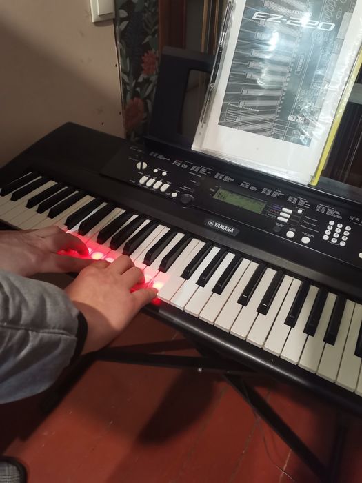 Синтезатор Yamaha EZ 220