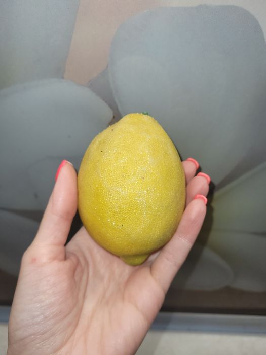 Лимон іграшковий пласмасовий