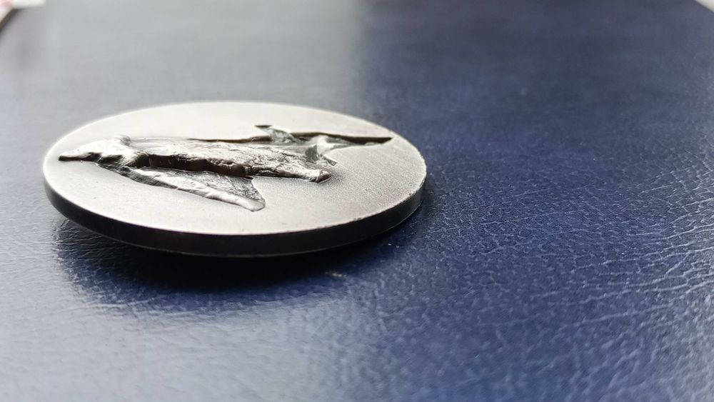 Stare monety Medal Frindt 2008 Stanisława Wątróbska
