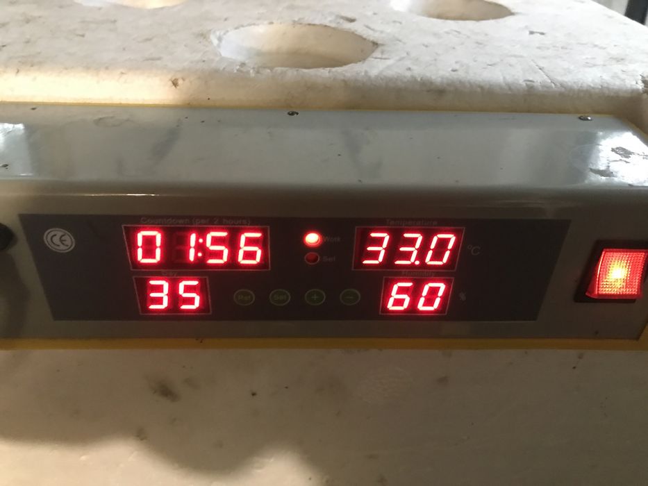 Інкубатор 36 яєць