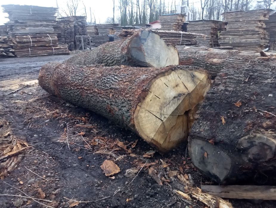 dąb sezonowany 25,,35,40,50,70 tarcica