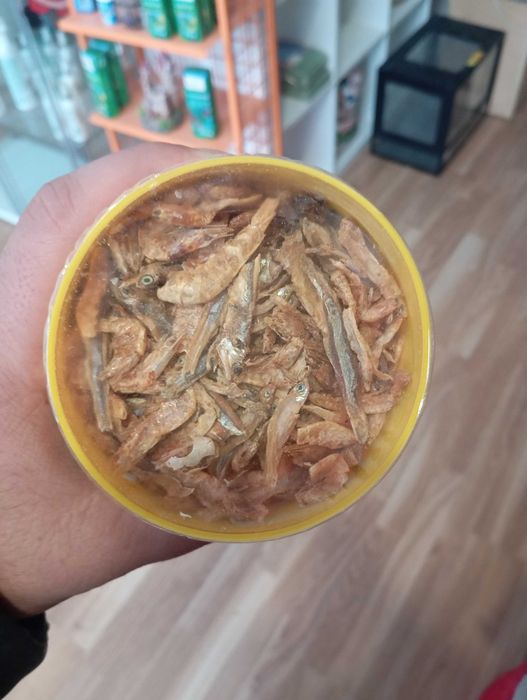 Comida para Tartaruguas Agua