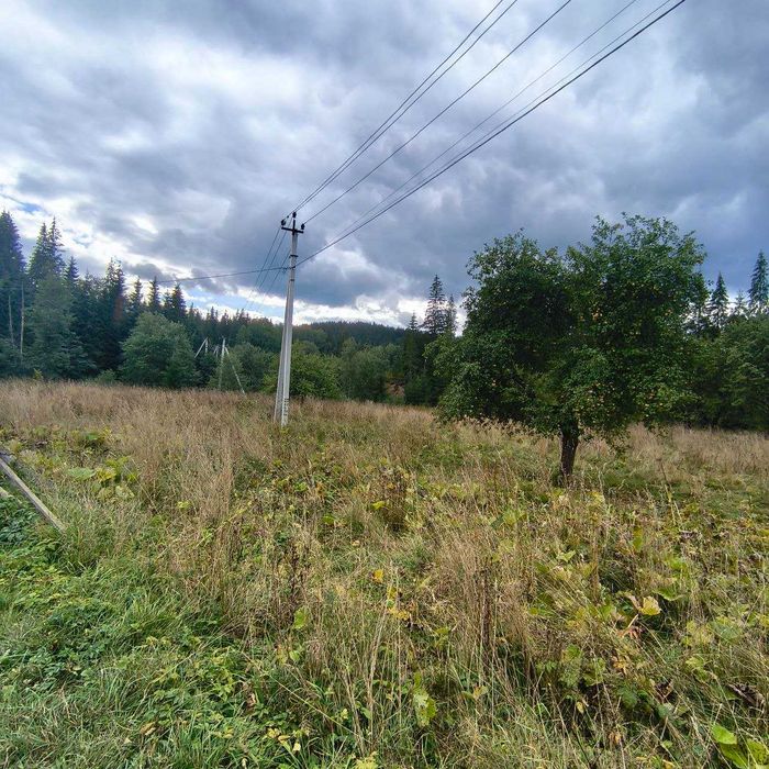 Продам земельну ділянку в Карпатах під будівництво!