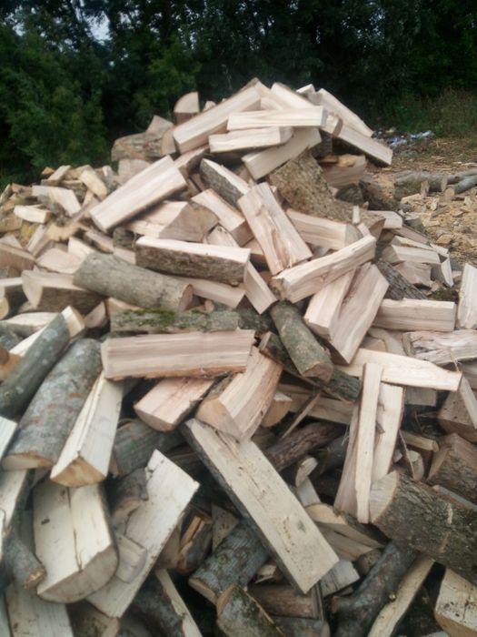 Пропоную дрова твердих порід