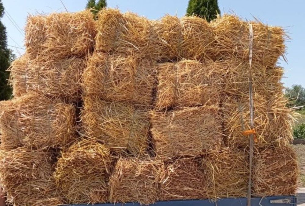 Продам солому в тюках.