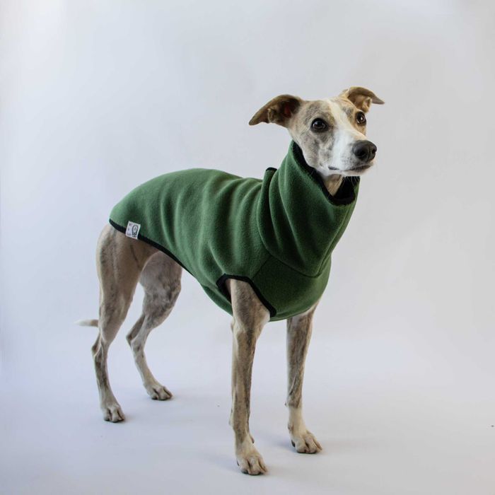 Polar sweterek bezrękawnik na whippeta, charcika, charta